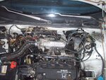 S5001329.JPG