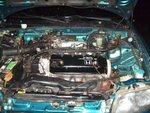 Picture 010.jpg