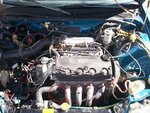 crx 001.jpg