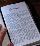 lolcat_bible.jpg