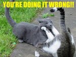 doinitwrong.jpg
