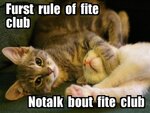 fight-club.jpg