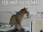 iseewhatyoudidtherezf7vn2.jpg