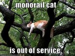 monorailcat-is-out-of-commission.jpg