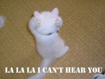 lala_cant_hear_you_cat.jpg