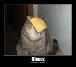 cheez_doing_it_wrong.jpg