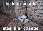 couch.jpg