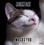 lolcatsdotcomaa376qa02s70fjt8.jpg