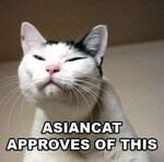 lolcatsdotcomii3o5tqyqzkqa4gb.jpg