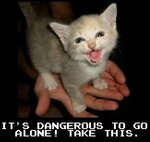 safetycat.jpg