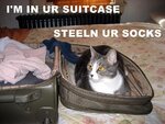 ramona_suitcase_med.jpg