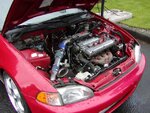 TJCivic008.jpg