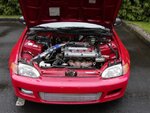 TJCivic020.jpg