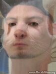 Brian-Cat.jpg