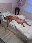 baby bed.jpg