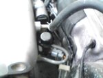 !cid__1208071333.jpg