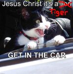 jesus_christ_its_a_lion.jpg