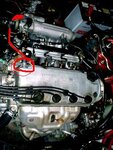 d15b.jpg