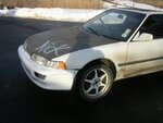 teggy.jpg