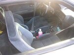 teggy5.jpg