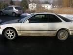 teggy2.jpg