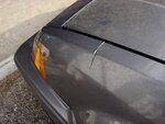 DSC00815.JPG