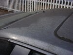 DSC00818.JPG
