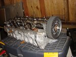 DSC00824.JPG