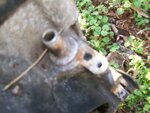 100_2056.JPG