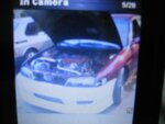 pics 003.JPG