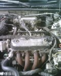 IMG00159.jpg