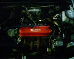 IMG00203.jpg