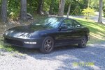 teggy_1.JPG