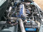 S7300602.JPG