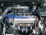 S7300598.JPG
