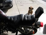 IMG_0035.jpg