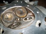 b16head 005-1.jpg