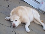 DSC00340.JPG