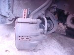 DSC01115.JPG
