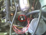 04-28-08_0953.jpg