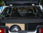 100_1372.jpg