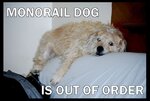 MonorailDog.JPG
