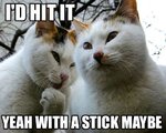 I'd hit it!.jpg