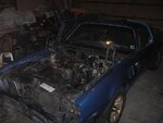 Whole Car.jpg
