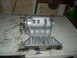 my pics 002.jpg