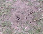 IMG00113.jpg