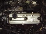 9-17partout024Medium.jpg