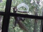 squirrel!.jpg