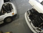 DSC04424.JPG
