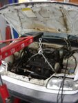 DSC04431.JPG